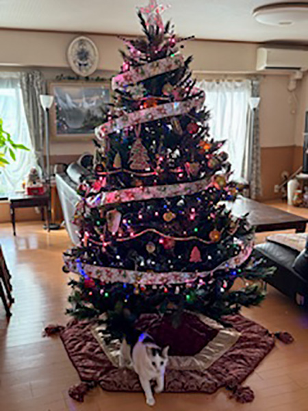 �j�b�N�l�[���Ȃ�