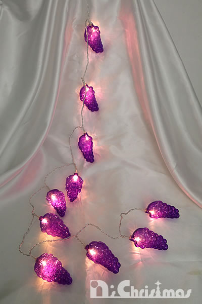 �ڎ�