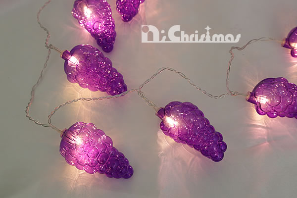 �ڎ�