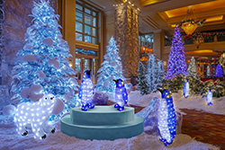 �A�j�}�����`�[�t�R