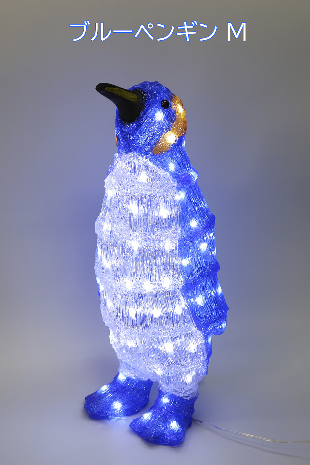 ブルーペンギンM