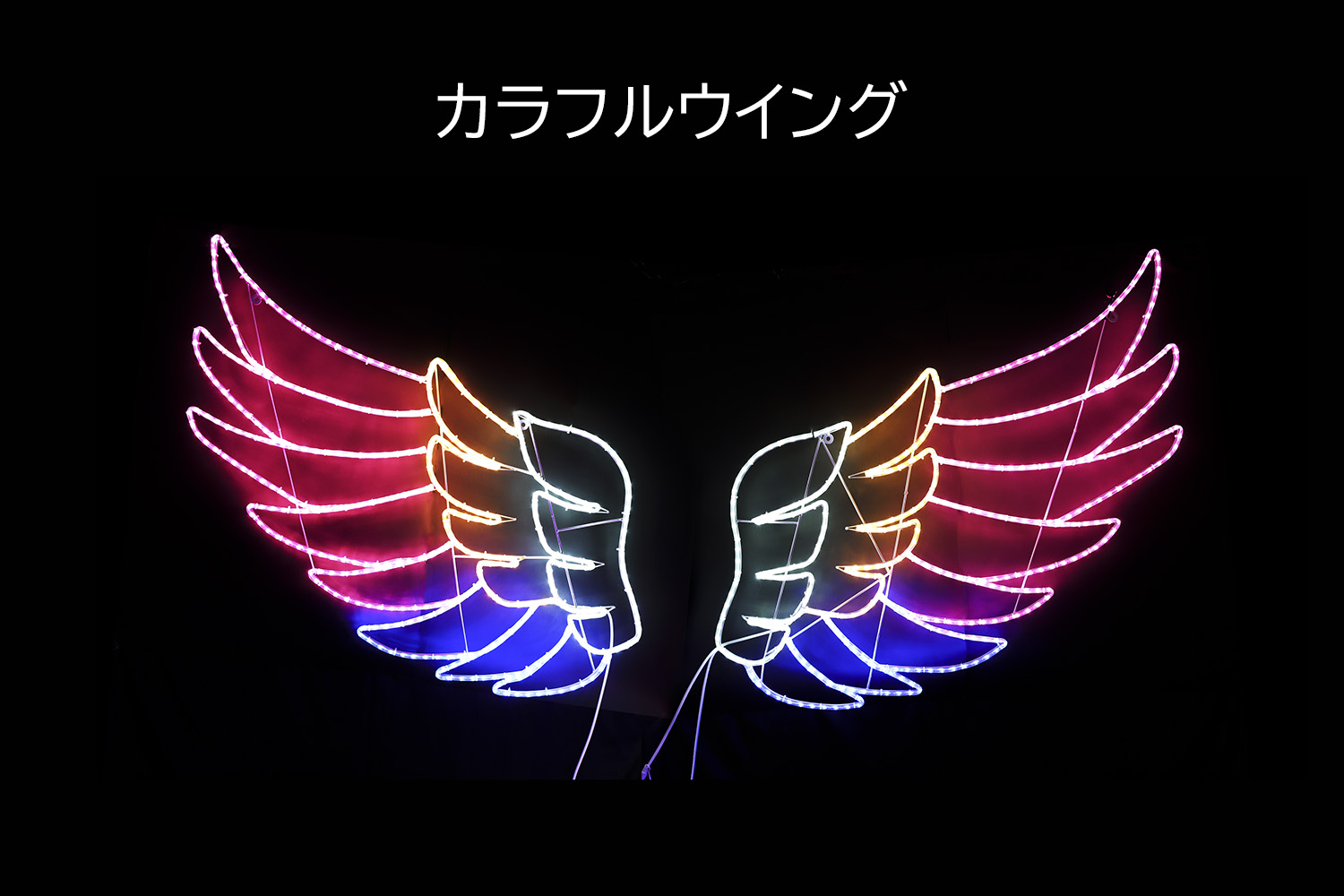カラフルウィング