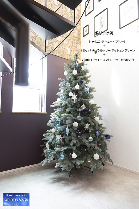 �N���X�}�X�I�[�i�����g�Z�b�g�i�V���C�j���O�L���[�g�E�u���[�j