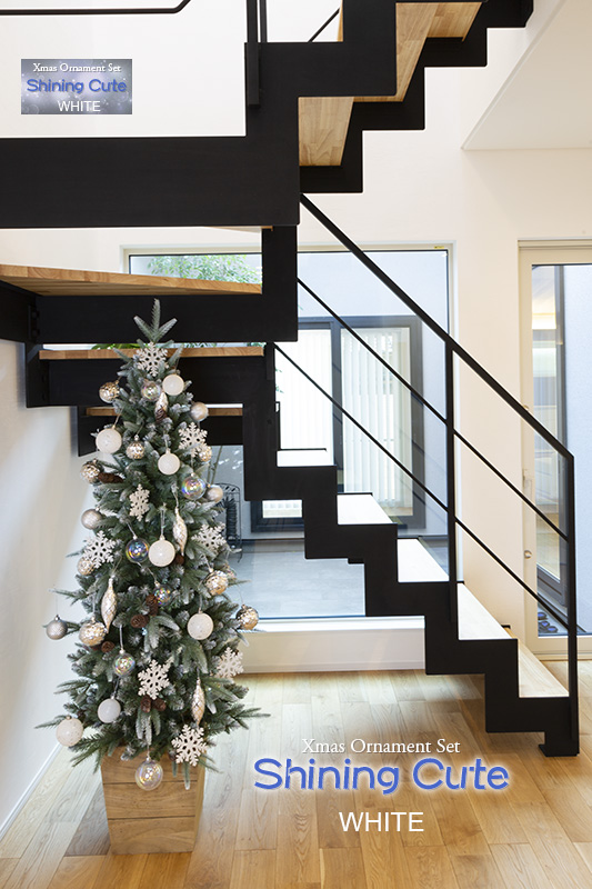 �N���X�}�X�I�[�i�����g�Z�b�g�i�V���C�j���O�L���[�g�E�z���C�g�j