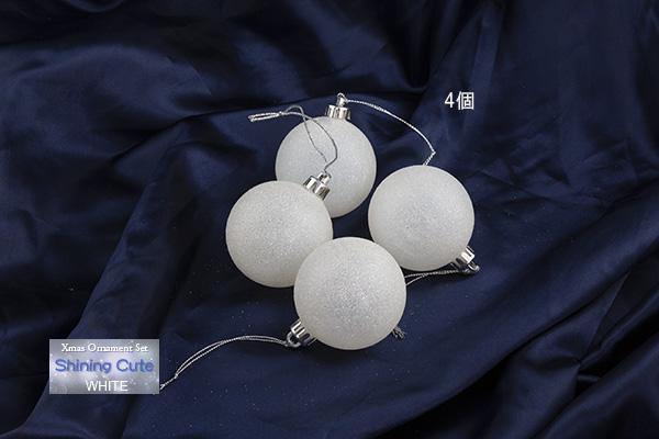 �I�[�i�����g�̏ڍ�