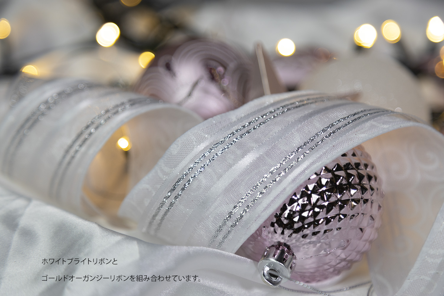�V���o�[�I�[�K���W�[���{��