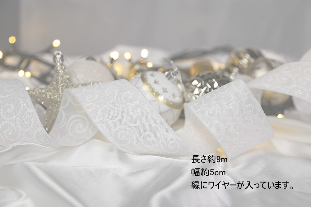 �T�C�Y�C���[�W