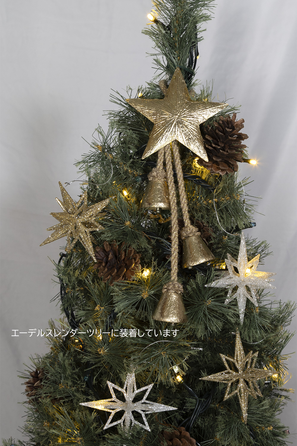 �c���[�g�b�v���^���x���i�S�[���h�j