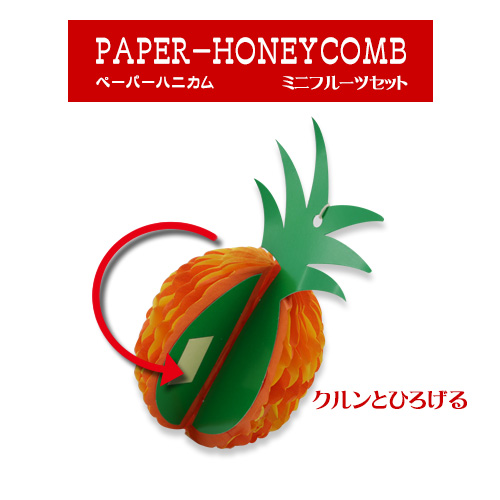 �ƶт̍L����