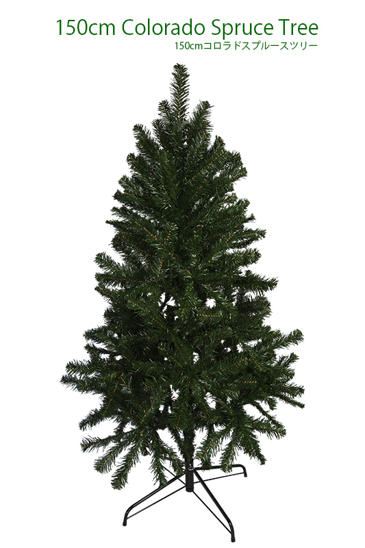 150cm�R�����h�X�v���[�X�c���[