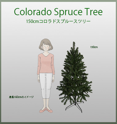 150cm�R�����h�X�v���[�X�c���[