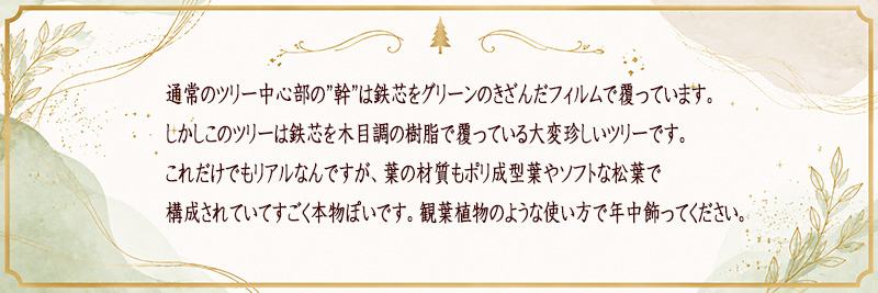 �C���e���A�Ƃ��Ẵc���[