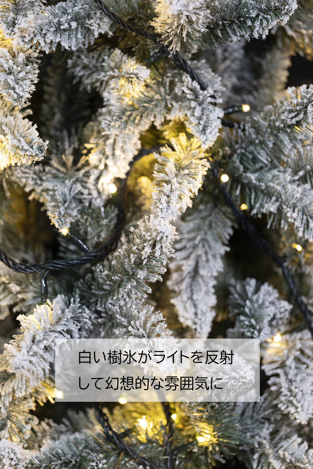 ���X�c���[