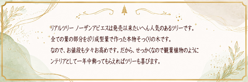 �C���e���A�Ƃ��Ẵc���[