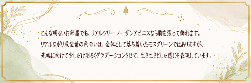�C���e���A�Ƃ��Ẵc���[