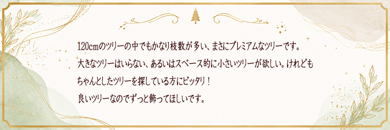 �C���e���A�Ƃ��Ẵc���[