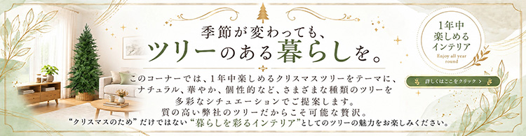 �C���e���A�Ƃ��ẴN���X�}�X�c���[