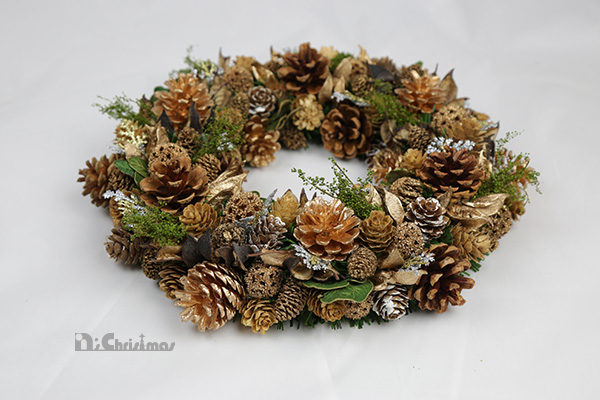 �ڎ�
