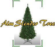 �A�����X�����_�[�c���[