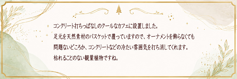 �C���e���A�Ƃ��ẴN���X�}�X�c���[