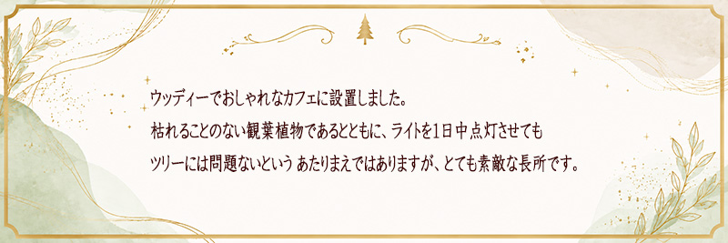�C���e���A�Ƃ��ẴN���X�}�X�c���[